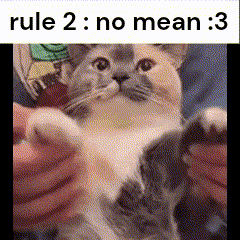 Cat GIF