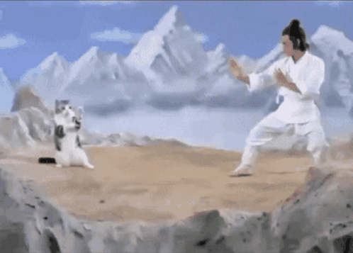 Catfu Cat Fu GIF