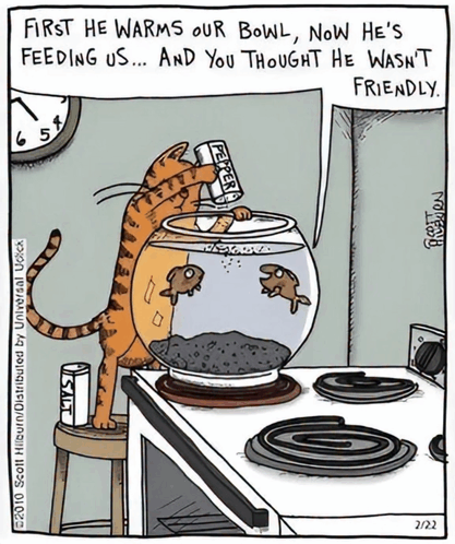 Cats Cartoon GIF