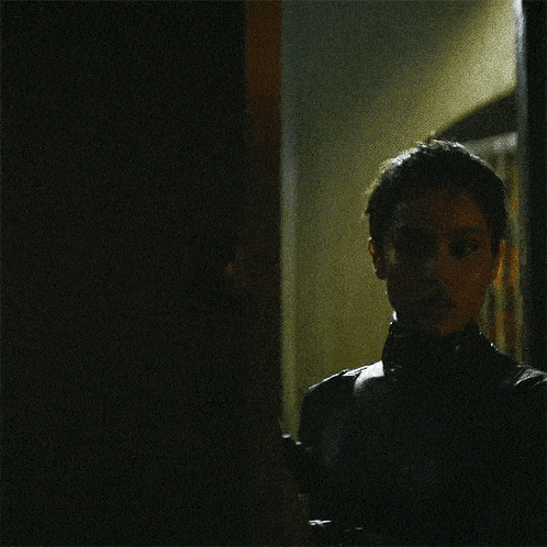 Catwoman Batman The Batman Movie GIF