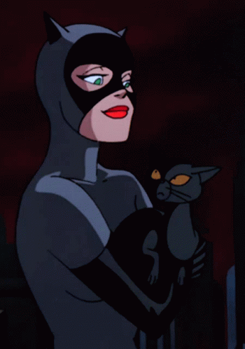 Catwoman Loves Cat GIF