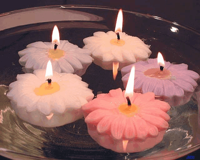 Certze Candle GIF
