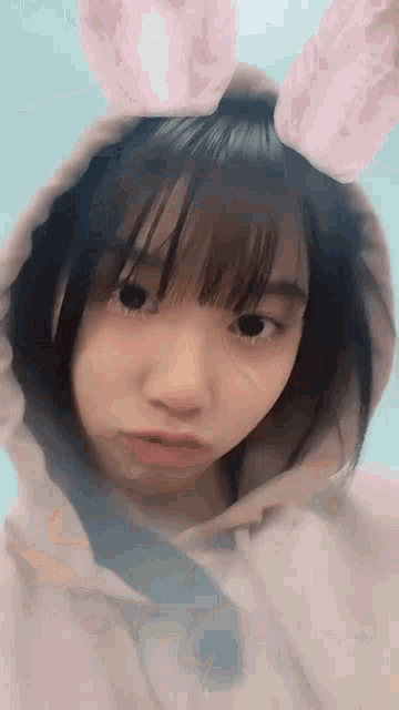 Cgm48 Bunny GIF
