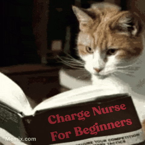 Charge Nurse GIF
