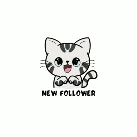 Chat GIF