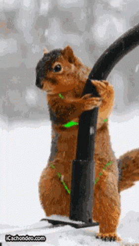 Check Me Out Look At This GIF