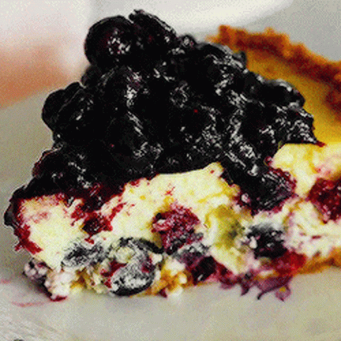 Cheesecake Blueberries GIF