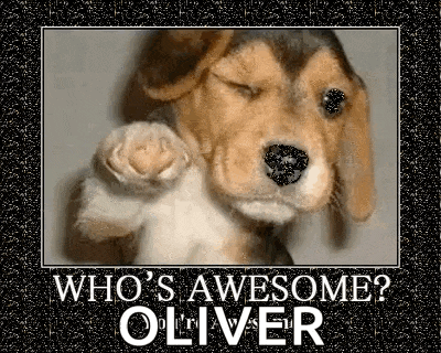 Cherryfurby Whos Awesome Youre Awesome GIF