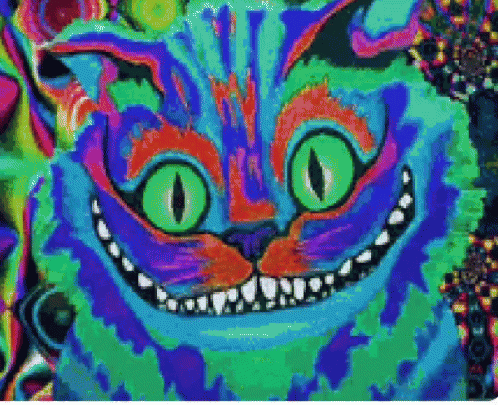 Cheshire Cat Trippy GIF