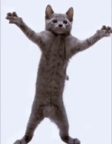 Chickensmoothie Trademark Cstm GIF
