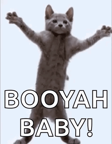 Chickensmoothie Trademark Cstm GIF