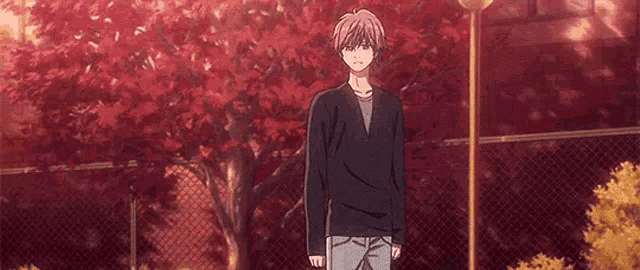 Chihayafuru Taichi Mashima GIF