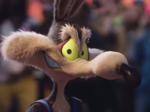 Chilldoggis Gif GIF