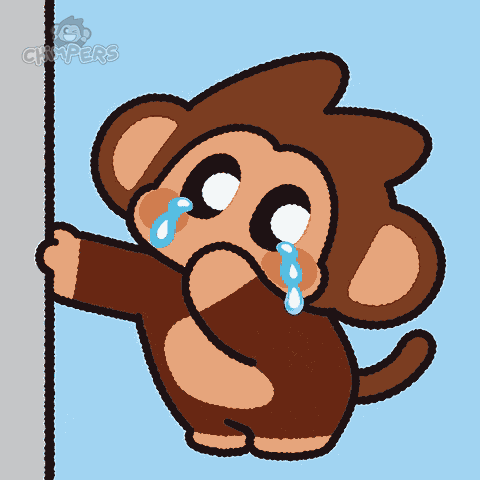 Chimpers Chimpi GIF