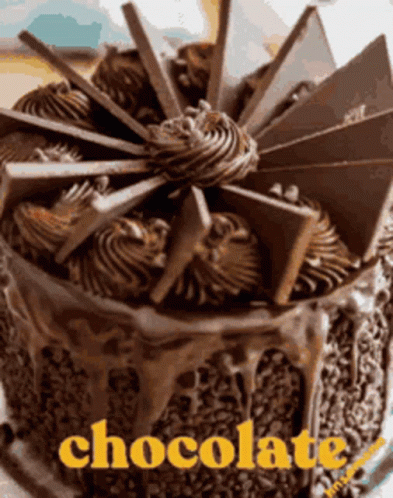 Choco Choco GIF
