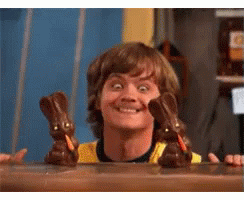 Chocolate Bunny Bunnies Hannahmontana GIF
