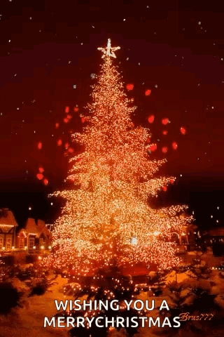 Christmas Cheer Christmas Tree GIF