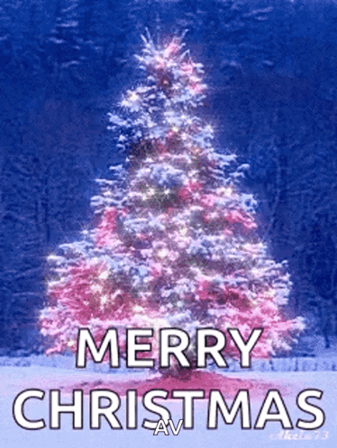 Christmas Christmas Tree GIF