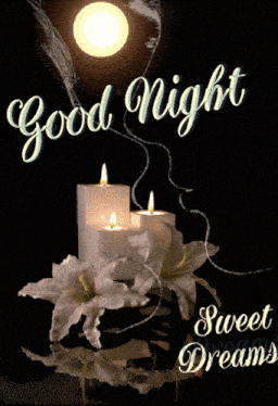 Christmas Good Night GIF
