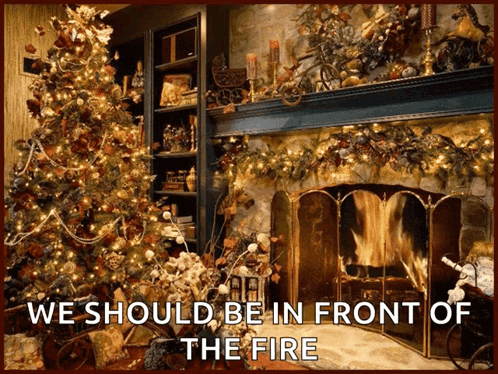 Christmas Is Coming Christmas Tree GIF