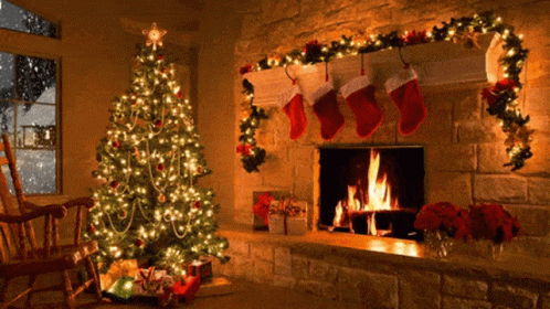 Christmas Is Coming Christmas Tree GIF