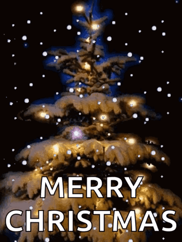 Christmas Lights Christmas Tree Lights GIF