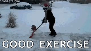 Christmas Snow Corgi GIF