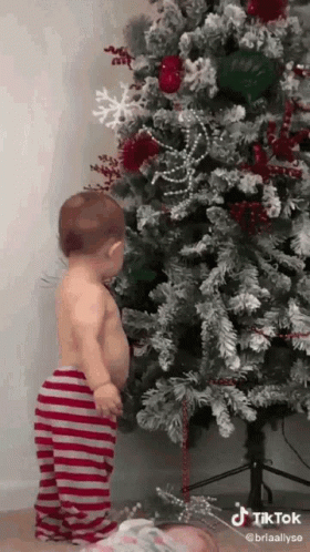 Christmas Surprise GIF