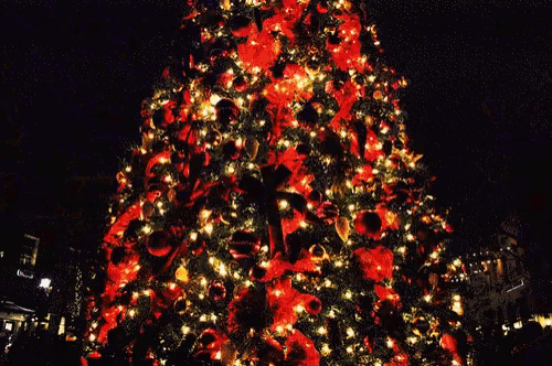 Christmas Tree Christmas Lights GIF