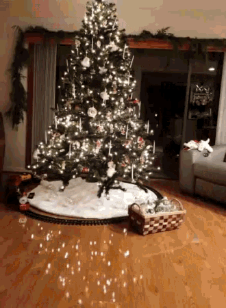 Christmas Tree Christmas Time GIF