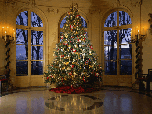 Christmas Tree Meme