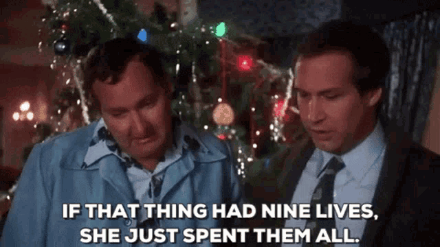 Christmas Vacation Nine Lives GIF