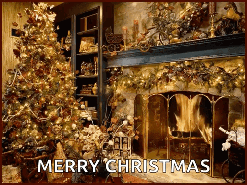 Christmasiscoming Christmastree GIF