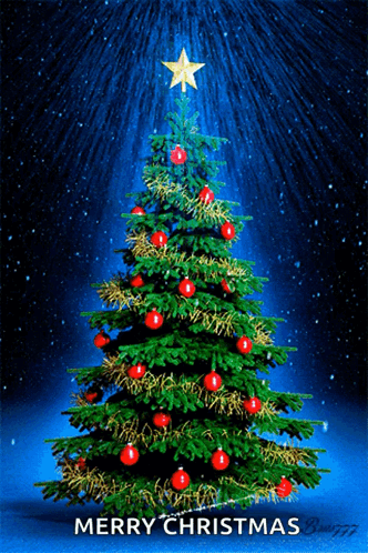 Christmastree Sparkle GIF