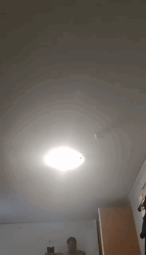 Chrizzy B Dive GIF