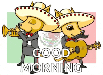 Cinco De Mayo 5demayo GIF