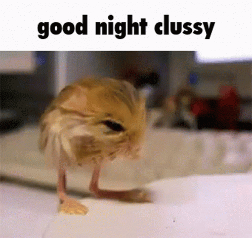 Clussy Clan Good Night GIF