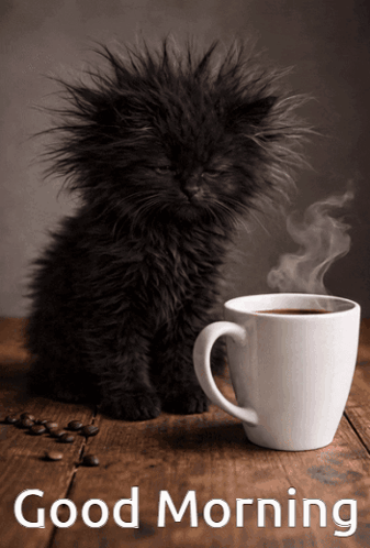 Coffee Time Good Morning GIF