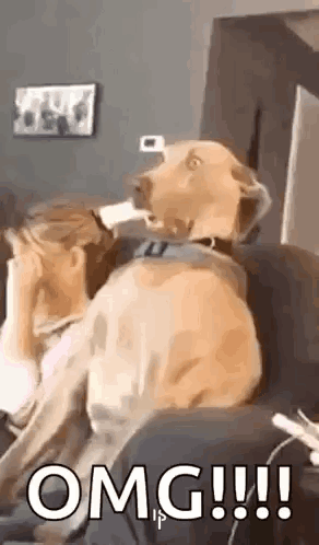 Cold GIF