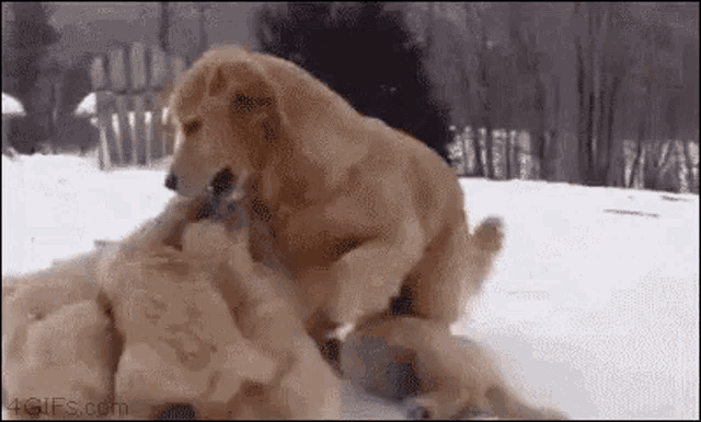 Come Play GIF