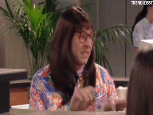 Computer Sagt Nein Little Britain GIF