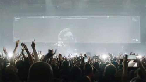 Concert Alan Walker GIF