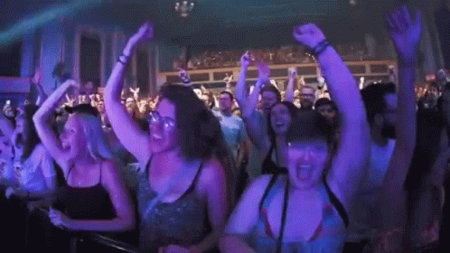 Concert Fans GIF