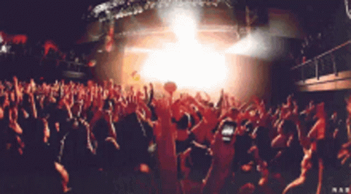 Concert GIF
