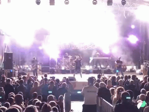 Concert GIF