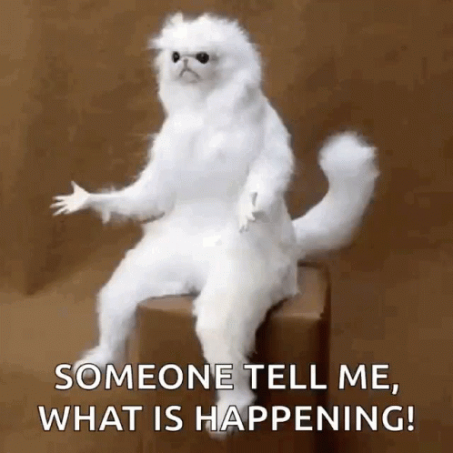 Confused White Persian Guardian GIF