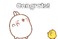 Congrats Molang Sticker