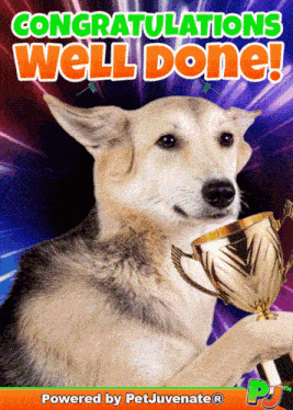 Congratulations Congrats Pj Pj Good Job Well Done Cute Gif Pj Petjuvenate GIF