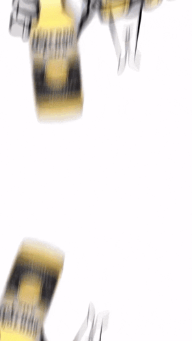 Corona Corona Extra GIF