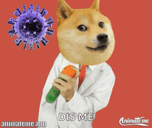 Coronavirus Covid GIF